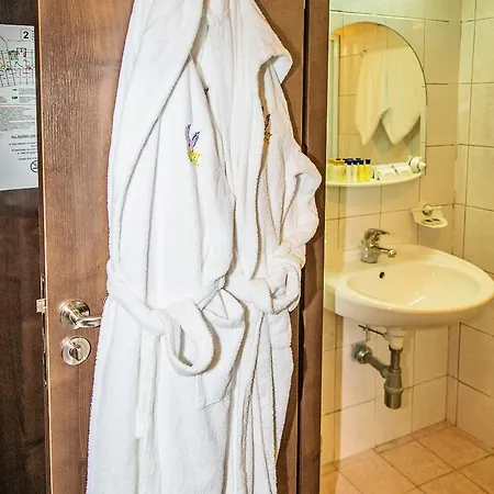 Party Golden Sands וארנה